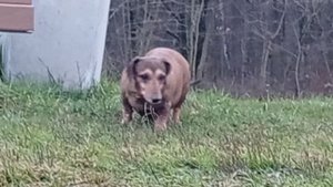 2023611608_08.58.10 У Лебедянского пруда