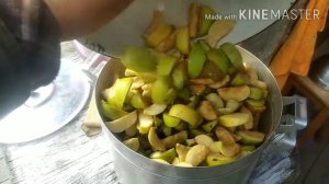 Варю яблочный сок без сахара в соковарке