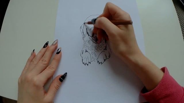 Cómo dibujar un perro Labrador/How to draw Labrador dog/Как нарисовать собаку Лабрадора смотреть онлайн