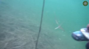 ПОДВОДНАЯ ОХОТА. ЩУКА ЗИМОЙ. ПОДВОДНЫЙ КОСМОС