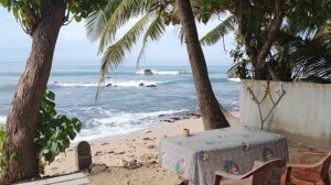 Шри Ланка. Мидигама. Отель для серферов.