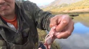 Счастливые люди Верхоянской тайги