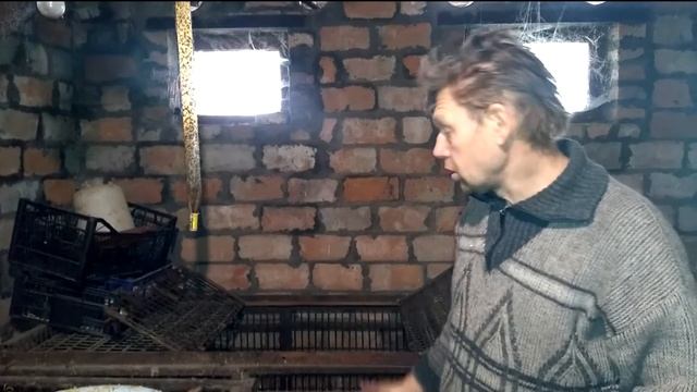 Как содержать нутрий. Подготовка места для нутрий. #Сергейинутрии #нутрята #нутрия смотреть онлайн