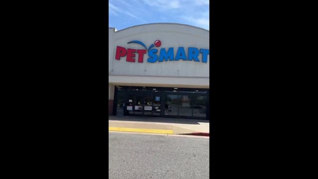 Grumpy Dogs knox doberman tiktok Compilation 🔴| Dog Video 2022 | suavexavie - 6 смотреть онлайн