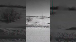 Песня. Температура. 🎶ShoolaL