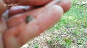 Коп С Металлоискателем MD-6350. Наконец-то нашёл..