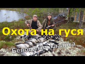 Охота на северного гуся #6.1 Архангельская область 2ч