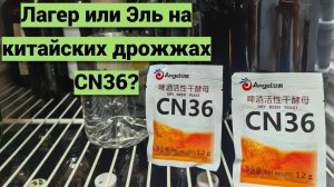 Китайские дрожжи CN36 для эля и лагера,универсальные?Сейчас проверим!Дрожжи в пивоварении,дегустация