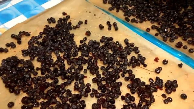Сушеная ягода для заготовки на зиму. Как правильно все сделать. смотреть онлайн