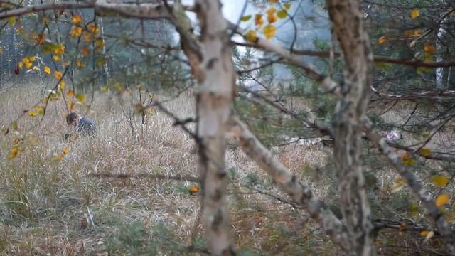 Семейные ТРАДИЦИИ | Вечер в Лесу - почувствуй атмосферу смотреть онлайн