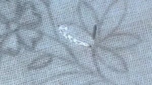 Hand embroidery.White work.For beginners.Simple stitches.Белая вышивка.Для начинающих.Простые стежк