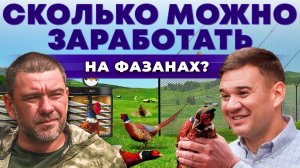 Птицеводство как бизнес | Сколько приносит разведение Фазанов? Охота на птиц | Андрей Даниленко