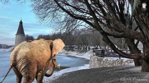 Розовый слон