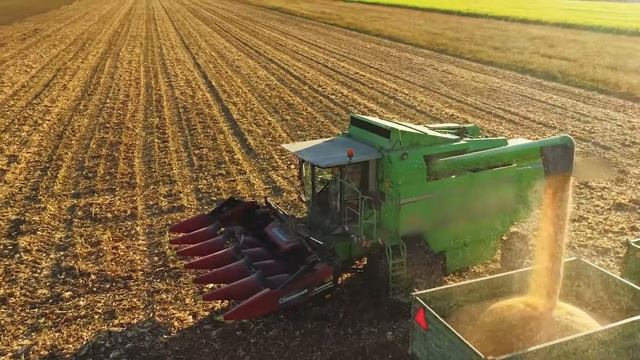 Accelapha delivers a solution based approach using Oracle Technology смотреть онлайн