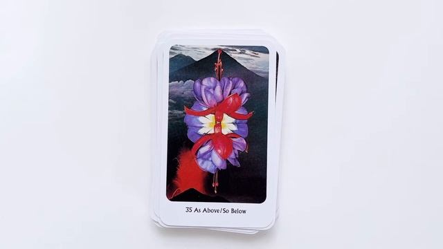 The Tantric Dakini Oracle - Flip Through смотреть онлайн