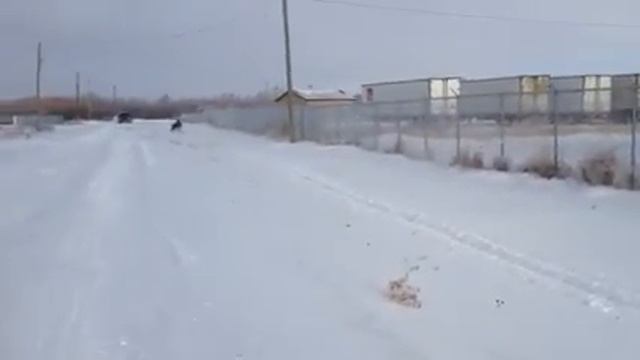 2009-2011 Arctic Cat Z1 MaxFlow Muffler смотреть онлайн