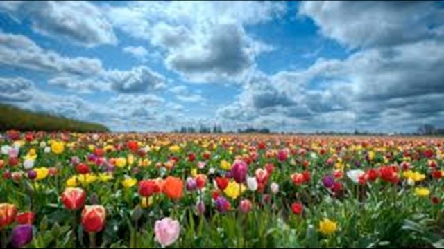 Невероятно Красивая просто Волшебная музыка для души смотреть онлайн