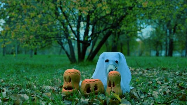 BEST PET HALLOWEEN COSTUMES 2023 🎃 смотреть онлайн