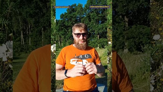 Обращение к роду потомков   /Pskovskii Istoris лента из архива событий Швеция 2021/