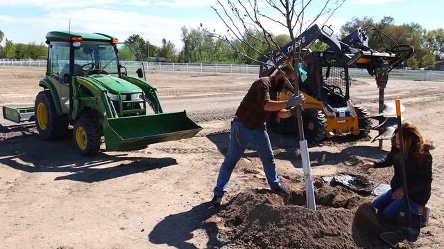 FINALLY Planting 21 Huge Trees on the New Property! 🙌🌳 // Garden Answer смотреть онлайн