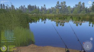 РР4 МЕДВЕЖЬЕ УСАЧ ТРОФЕЙ / РУССКАЯ РЫБАЛКА 4 МЕДВЕЖЬЕ УСАЧ / RUSSIAN FISHING 4 BEAR LAKE BARBEL