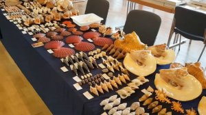 Öhringen Shell Show (Germany) September 2017