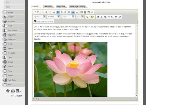 How to resize an image in GOcms смотреть онлайн