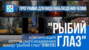 Компенсация оптического искажения камеры "рыбий глаз" в программе для видеонаблюдения Xeoma