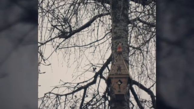 Мои работы: красивые скворечники своими руками.