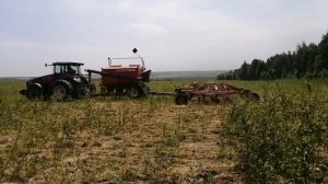 Сеем пшеницу по березе. Посев Wersatile 320 + Agrator Ancer 9800.