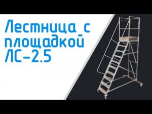 Лестница с площадкой ЛС-2,5