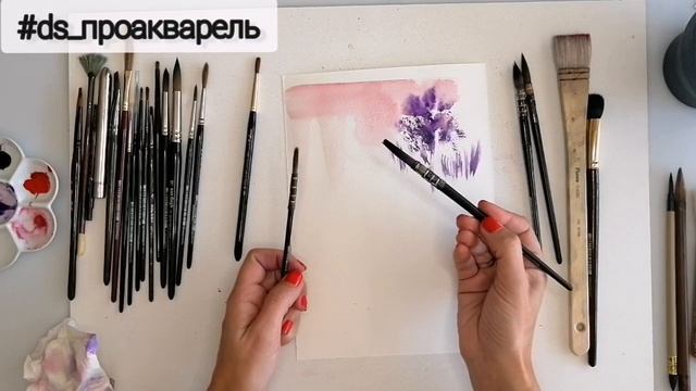 Про кисти для рисования. Рубрика ПроАкварель с Ольгой Котовой / Как выбирать и хранить кисточки