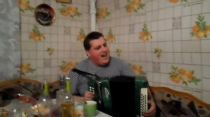 ДЕВЧОНКИ ПОЛЮБИЛИ НЕ МЕНЯ гармонь
