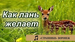 Как лань желает Странники   Воронеж Музыка МСЦ ЕХБ  ПСАЛМЫ МХО 2020