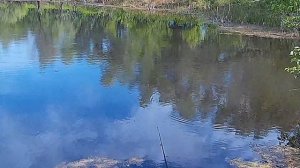 Рыбалка Мордово