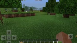 Введение в Minecraft. Для новичков. Часть 1.