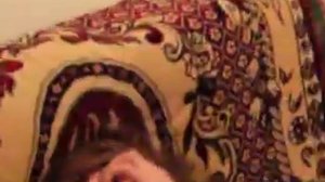 Ксеноморф-лицехват