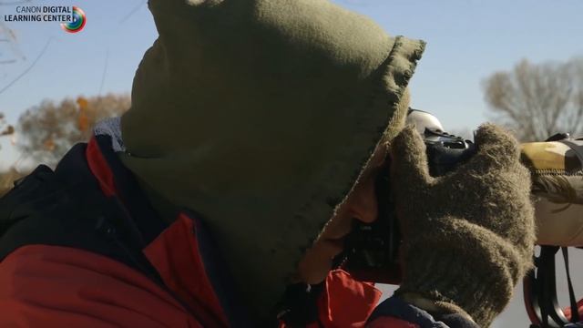 Canon: Bird Photography with Arthur Morris: Camera settings смотреть онлайн