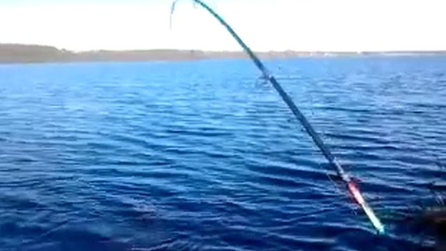 video2011-09-16-17-36-01 смотреть онлайн