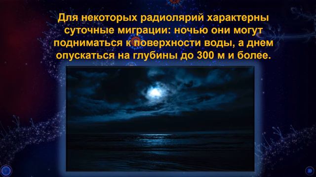 Тип Sarcodina. Класс Radiolaria смотреть онлайн