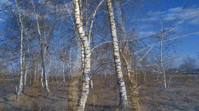 25 апреля. Радоница:приметы и суеверия.