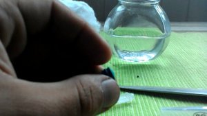 Как сделать инкубатор для муравьиной матки.