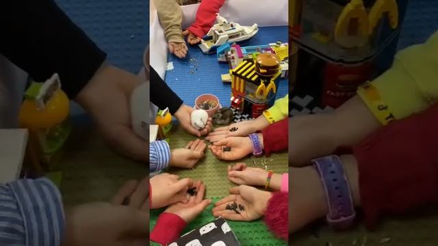 РУЧНЫЕ ХОМЯЧКИ** КОРМИМ С РУЧЕК ХОМЯЧКОВ Вики Лаки