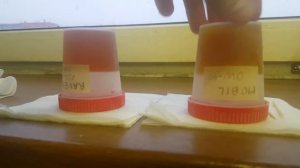 Заморозка -60°C Ravenol SSL 0W-40 vs Mobil1 0W-40