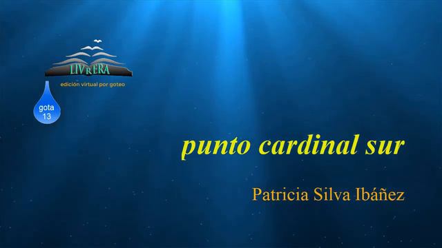 punto cardinal sur / Patricia Silva Ibáñez смотреть онлайн