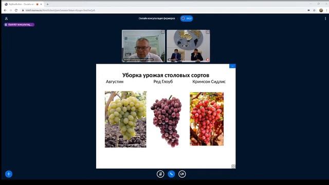 Летняя онлайн конференция смотреть онлайн