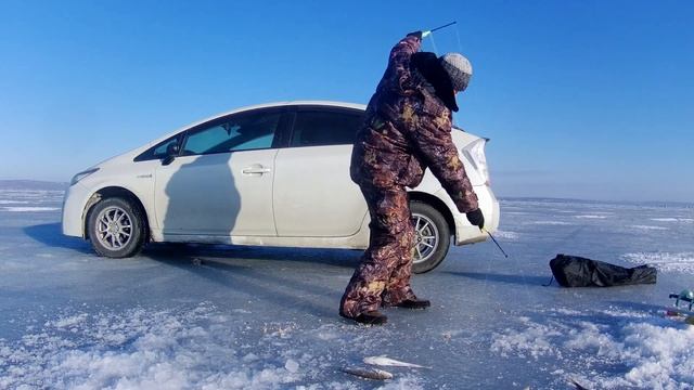 Рыбалка на комбайны! Ловля наваги на КОМБАЙНЫ!