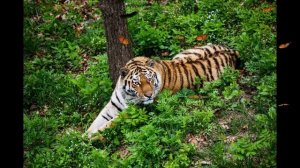 Учитесь видеть красоту