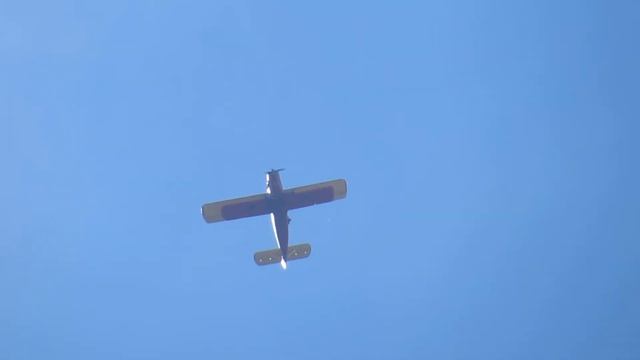 Парашютисты над озером. 05-06-2021 г. смотреть онлайн