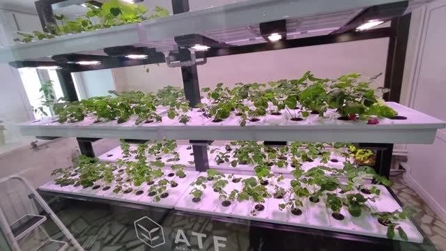 Описание специальности Технология производства и переработки сельскохозяйственной продукции